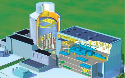 Przekrój reaktora AP1000 firmy Westinghouse