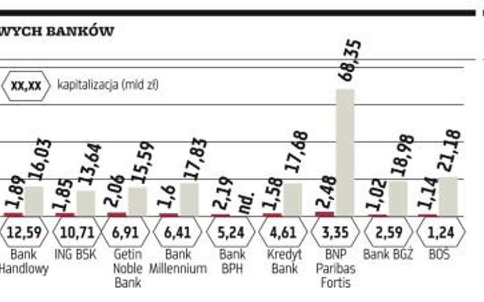 Skarb Państwa zainkasuje za akcje BGŻ tylko 312 mln zł