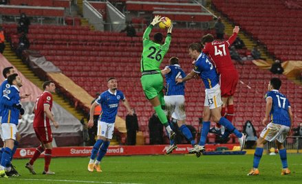 Polacy oglądali z ławki jak Brighton ograło Liverpool