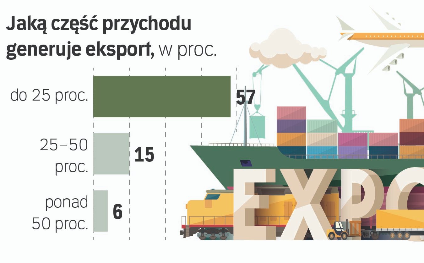 Ekspansja zagraniczna polskich e-sklepów przybrała na sile