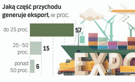 Po raz pierwszy większość polskich e-sklepów działa już za granicą
