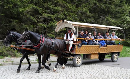 Morskie Oko. Ruszyły badania koni. Będą dokładniejsze