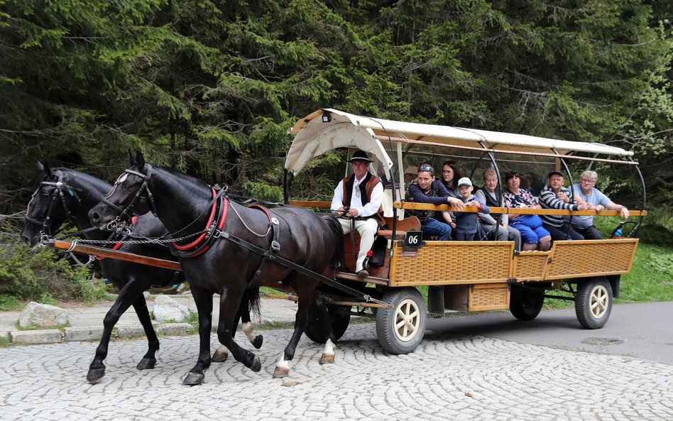 Morskie Oko. Ruszyły badania koni. Będą dokładniejsze