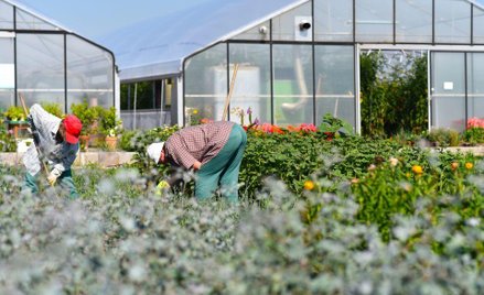 Piotr Skwirowski: Ukraińcy wracają na trudny rynek