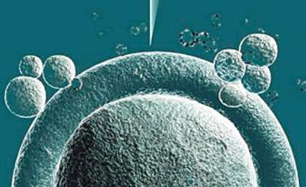 Metoda in vitro bezpieczniejsza i skuteczniejsza