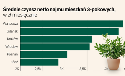 Rynek najmu mieszkań - lipiec 2025 r. Ile można zarobić? Czy czynsze rosną?