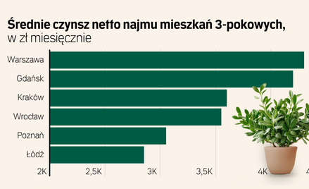 Rynek najmu mieszkań - lipiec 2025 r. Ile można zarobić? Czy czynsze rosną?