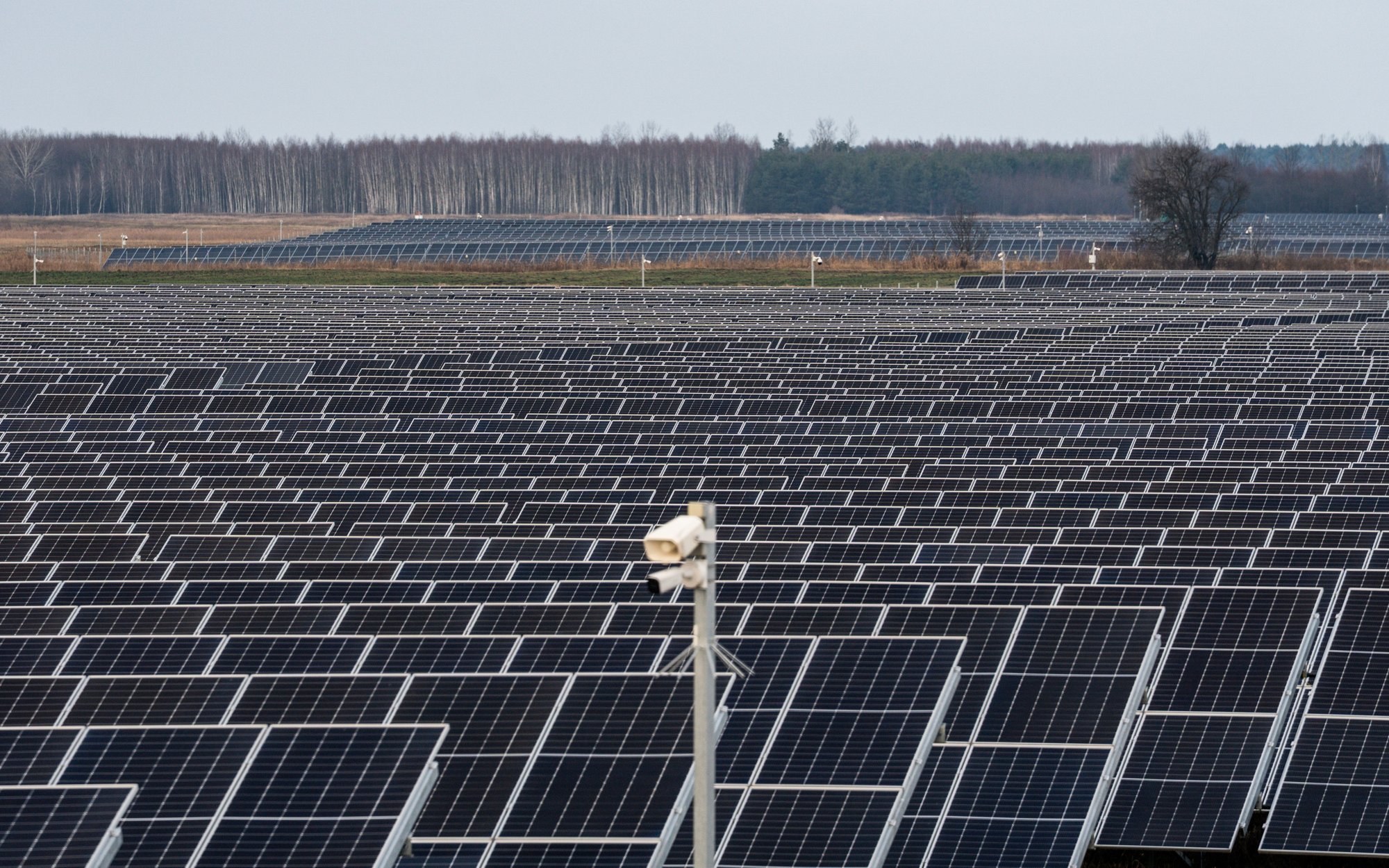 PGE inwestuje miliardy w energię. Nowy projekt zmieni rynek OZE
