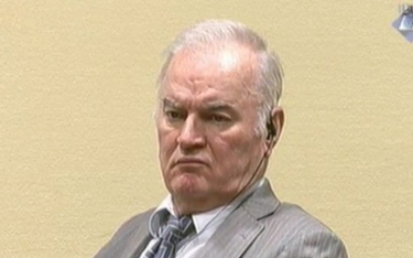 Ratko Mladić żąda uchylenia wyroku