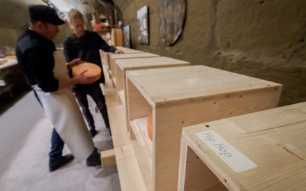 Szwajcarski ser słucha muzyki