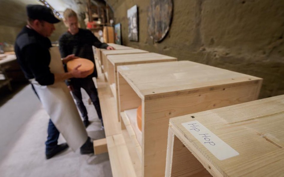 Szwajcarski ser słucha muzyki