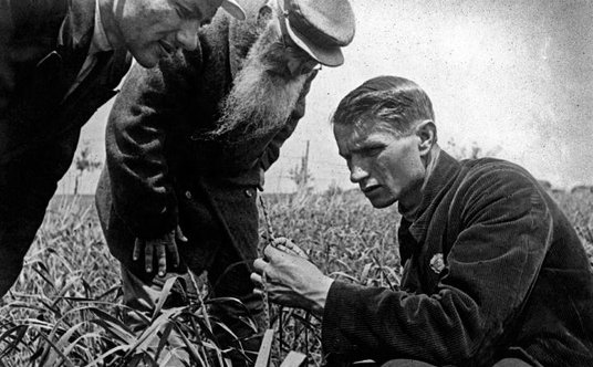 Symbolem radzieckiej pseudonauki jest Trofim Łysenko (z prawej, na kołchozowym polu w okolicach Odes