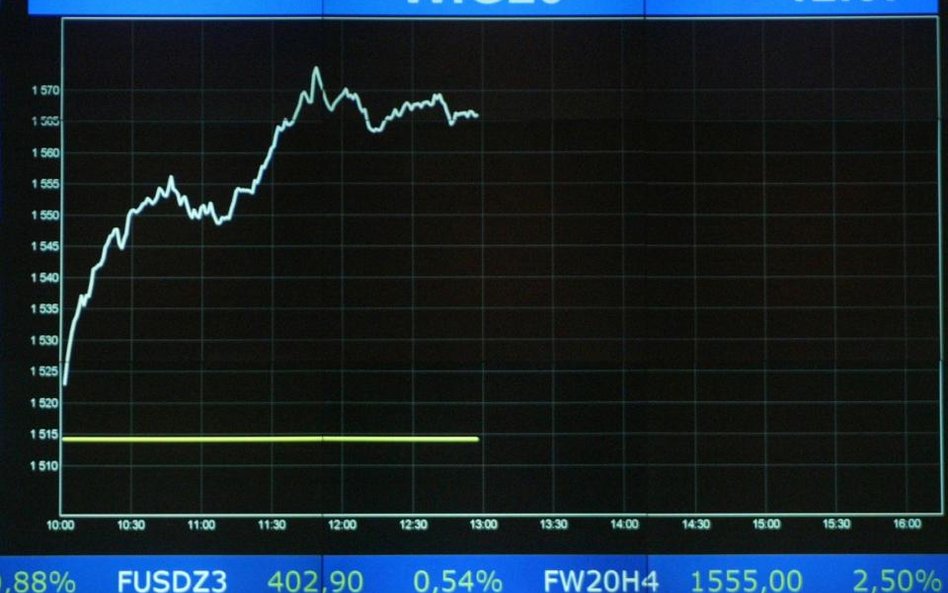 Nowe szczyty WIG i WIG20