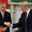 Trump chwali Orbana. "Wykonuje niesamowitą robotę"