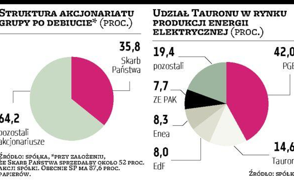 Maksymalnie 13 500 akcji Tauronu dla jednego inwestora