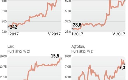 Ceny akcji tych firm mocno w tym roku wzrosły