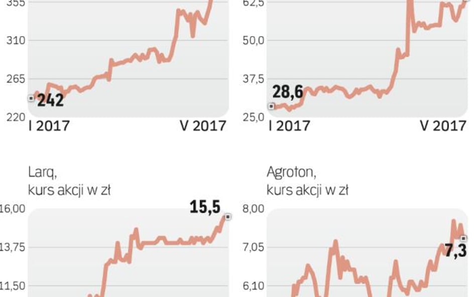 Ceny akcji tych firm mocno w tym roku wzrosły