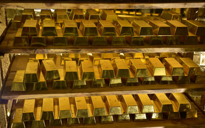 Ukraina zgromadziła rekordowe rezerwy złota i walut