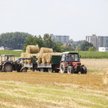 Działki rolne: ile kosztuje hektar pól