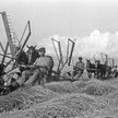 Wielkie gospodarstwa rolne ziem zachodnich (na zdjęciu jedno z nich, 1947 r.) były nowej władzy po p