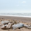 Na co dzień Niemcy deklarują troskę o klimat i środowisko, jednak podczas wakacji ekologiczne nawyki
