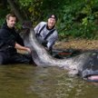 Najdłuższy złowiony sum na świecie mierzył 292 cm