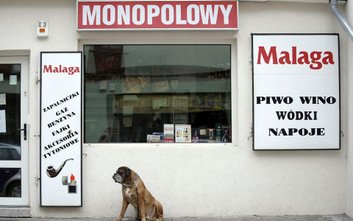 Projekt uchwały zakłada zmniejszenie limitu zezwoleń w detalu (sklepy) o 310 i zwiększenie limitu w 