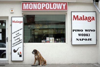 Projekt uchwały zakłada zmniejszenie limitu zezwoleń w detalu (sklepy) o 310 i zwiększenie limitu w 