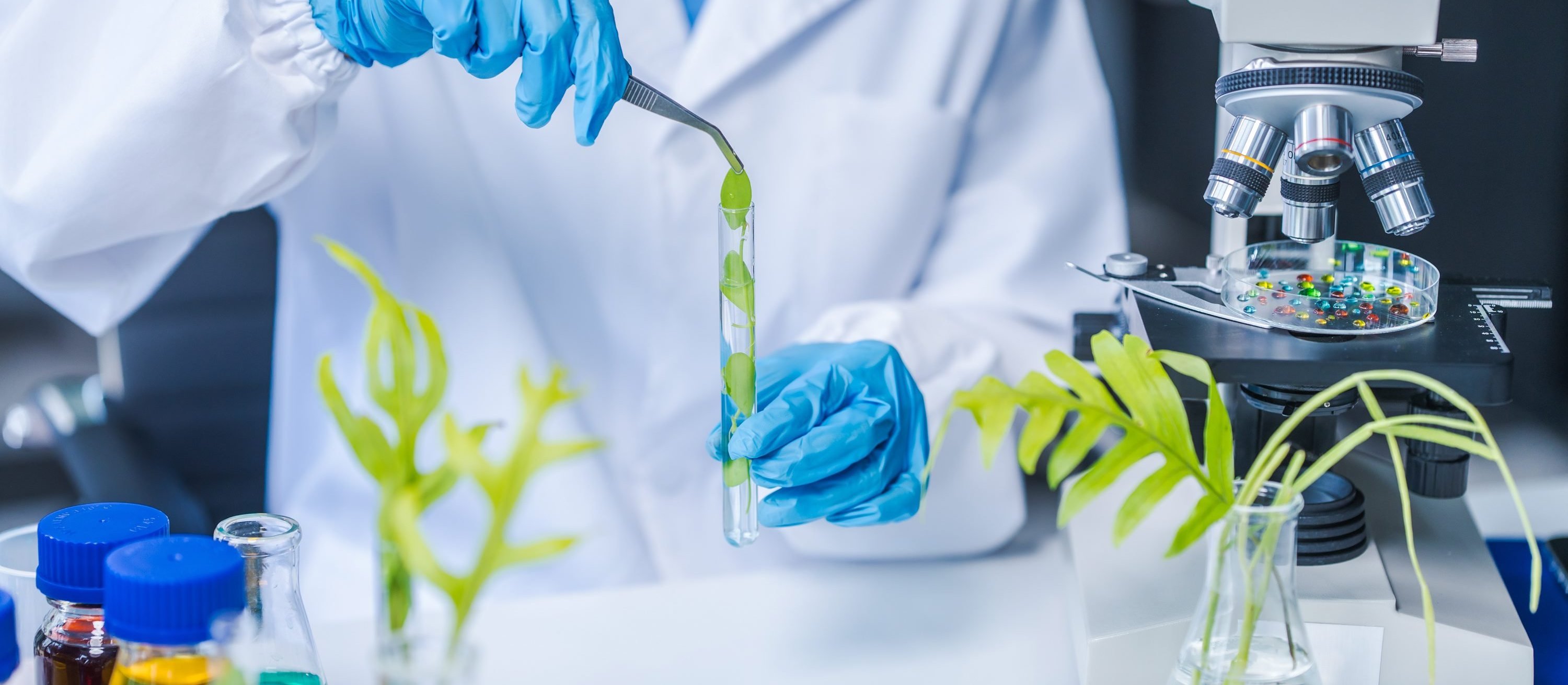 Pięć trendów w biotechnologii. Jakie wnioski dla polskich firm?