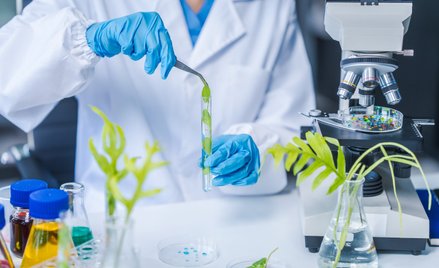 W Polsce działa około 250 firm zajmujących się biotechnologią. Fot. shutterstock