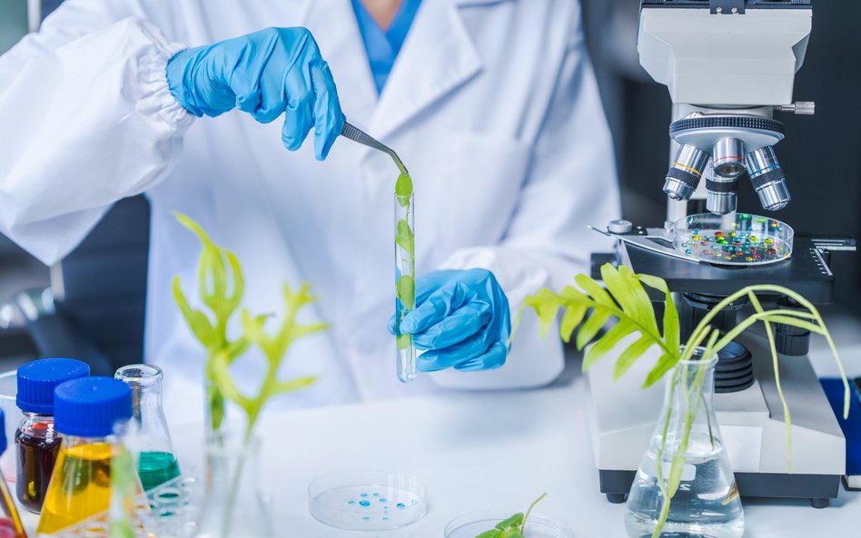 W Polsce działa około 250 firm zajmujących się biotechnologią. Fot. shutterstock