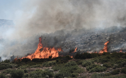 Pożary w Grecji wyemitowały tyle CO2, co 222 tys. samochodów w rok
