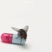 Red Hot Chili Peppers; I'm with you; Warner CD 2011