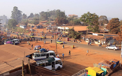 Kamerun: "Chłopcy Amby" porwali prawie 80 uczniów