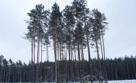 Zadania funduszu przejmują budżety gmin i powiatów