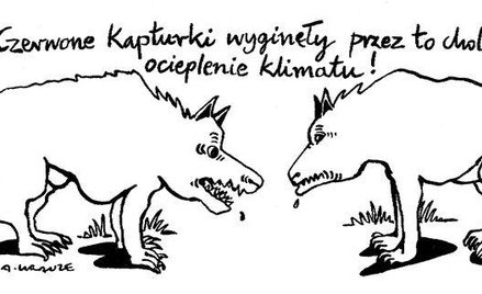 Komentarz rysunkowy