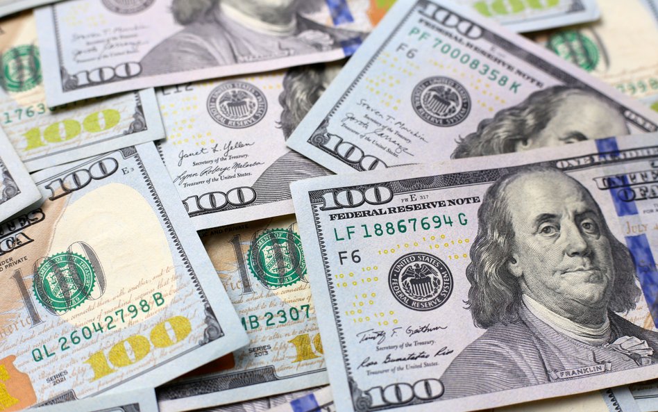 Dołek dolara może być już za nami. Większość ryzyk jest w cenie