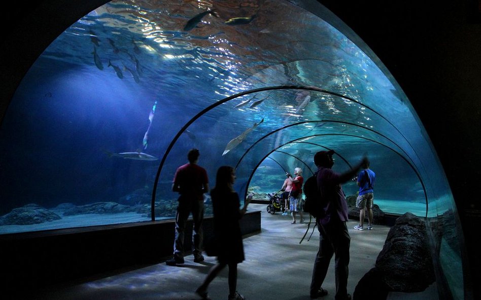 Oceanarium w Rotterdamie