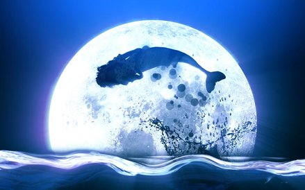 Warszawskie syreny, Multimedialny Park Fontann. Grafika: Piotr Przybył/ siedemzero.com