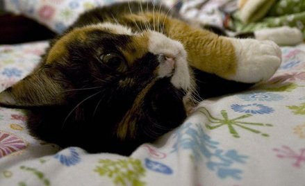 fot. me and the sysop