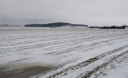 Zarzuty dla rzeczoznawcy