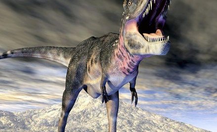 Wymieranie kredowe było kresem 3/4 gatunków fauny i flory