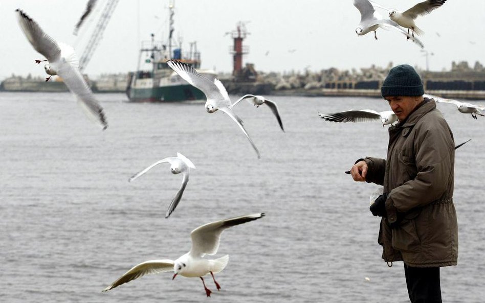 Port w Kołobrzegu