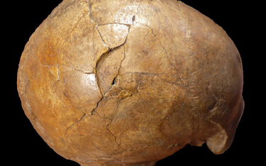Zagadka śmierci sprzed 33 tys. lat rozwiązana