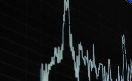 Skromny wzrost na początek