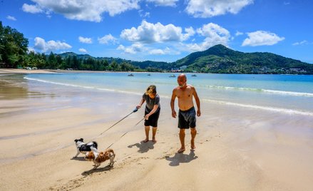 Od kilku tygodni turyści mogą przyjeżdżać do Tajlandii