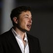 Elon Musk swoją "Teslaquilą" naraża się Meksykanom