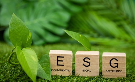 Kwestie ESG ważne dla wycen aktywów