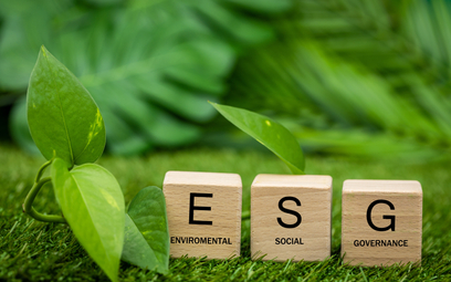 Kwestie ESG ważne dla wycen aktywów