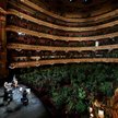 Barcelona: Artyści zagrali koncert dla tysięcy roślin